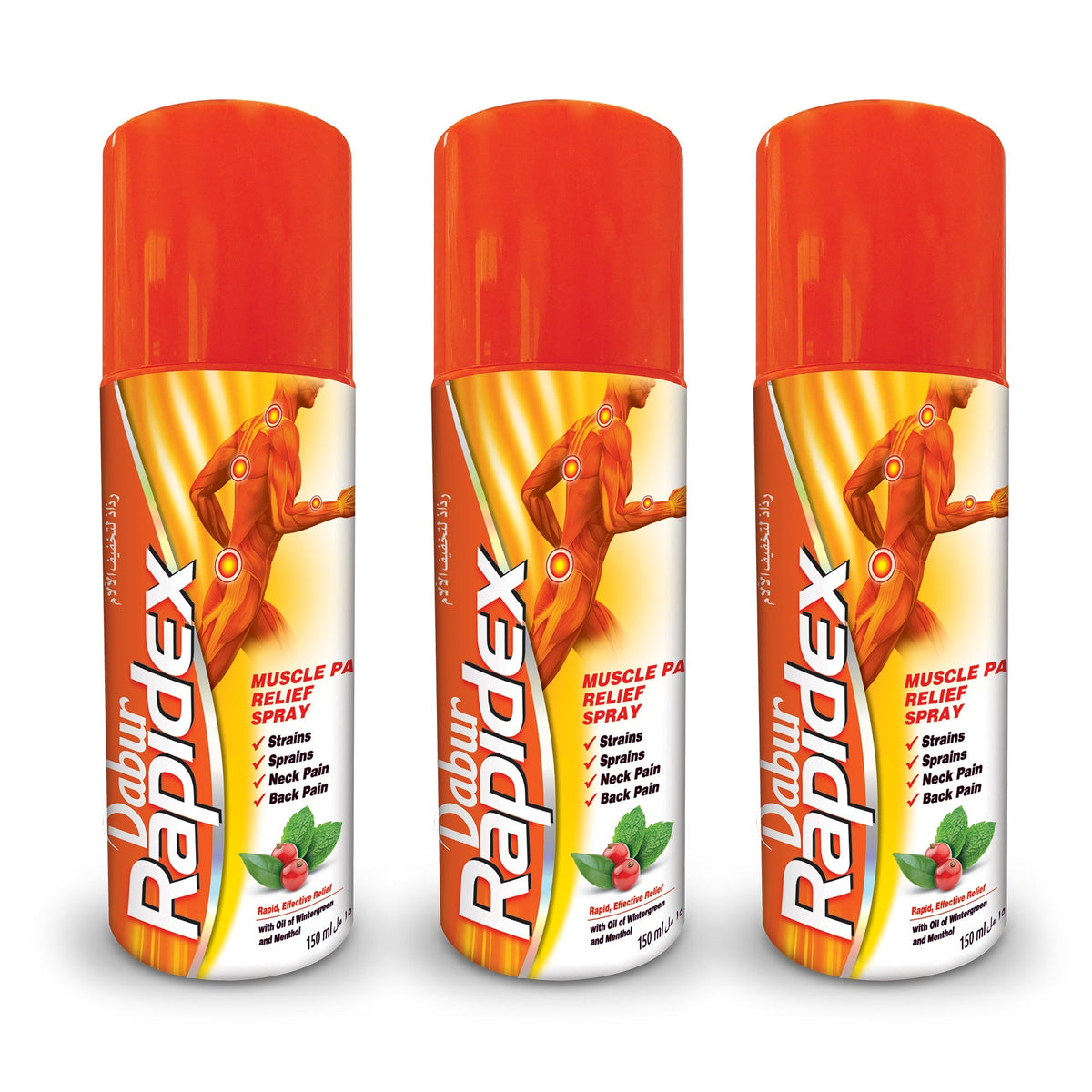 - Image 7
