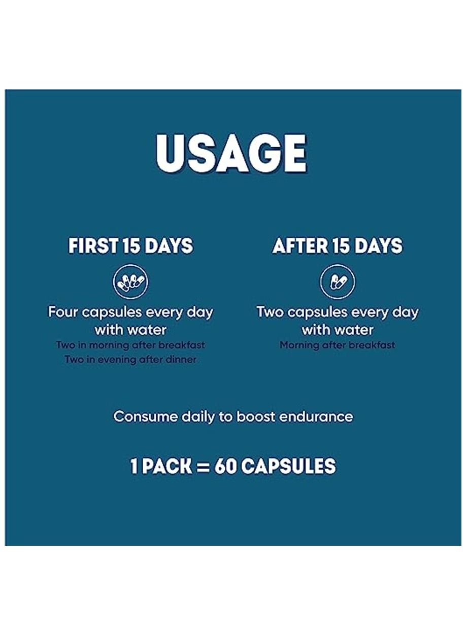 Aadar Endure Capsule - Herbal Formula with Shilajit & Gokhru, 60 Capsules - Image 4