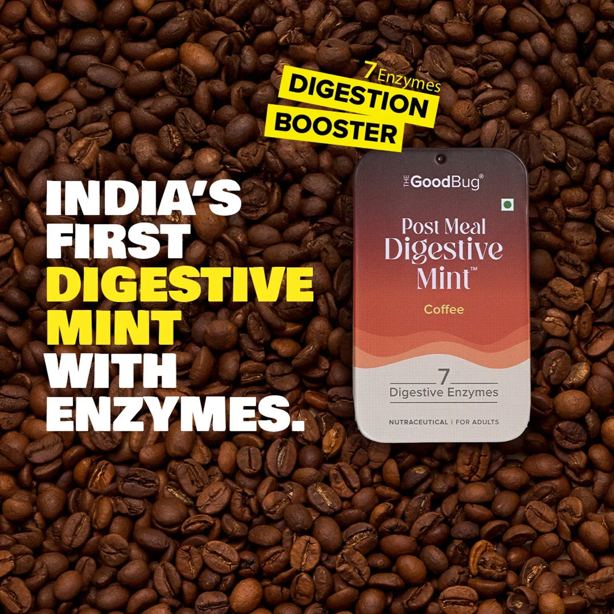 The Good Bug Post Meal Digestive Mint : Coffee (Pack of 14)