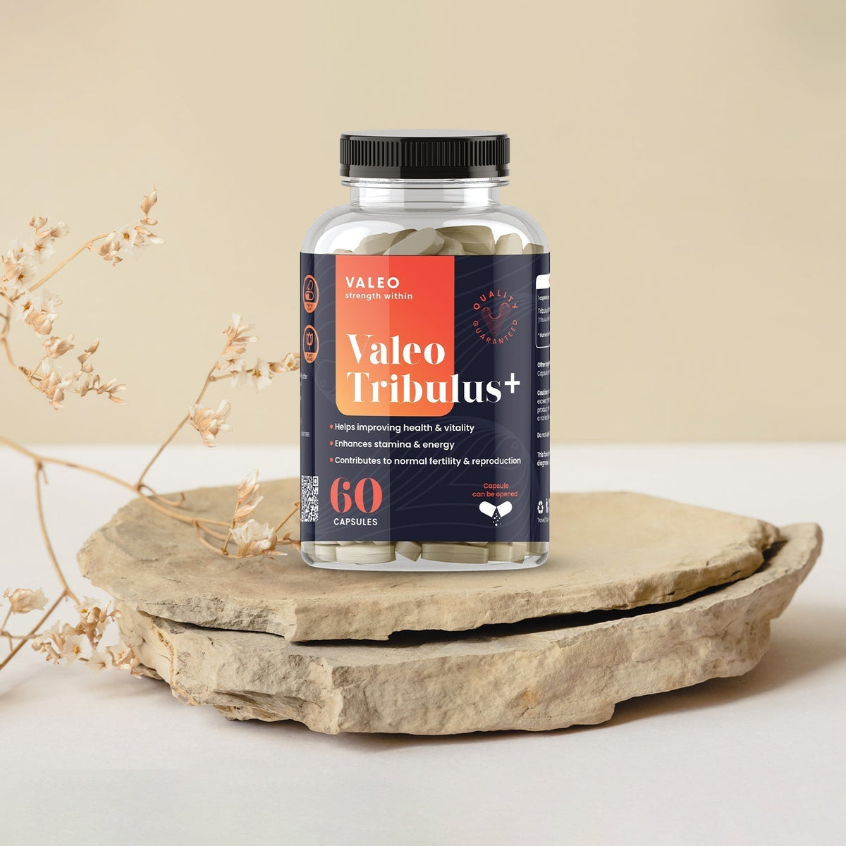 - Image 3