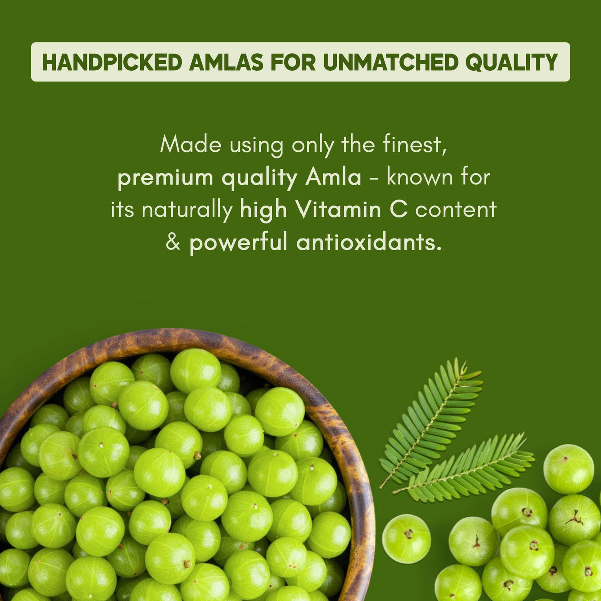 Rasayanam Pure Amla Juice - Herbal Ayurvedic Liquid, 750 ML - Image 2