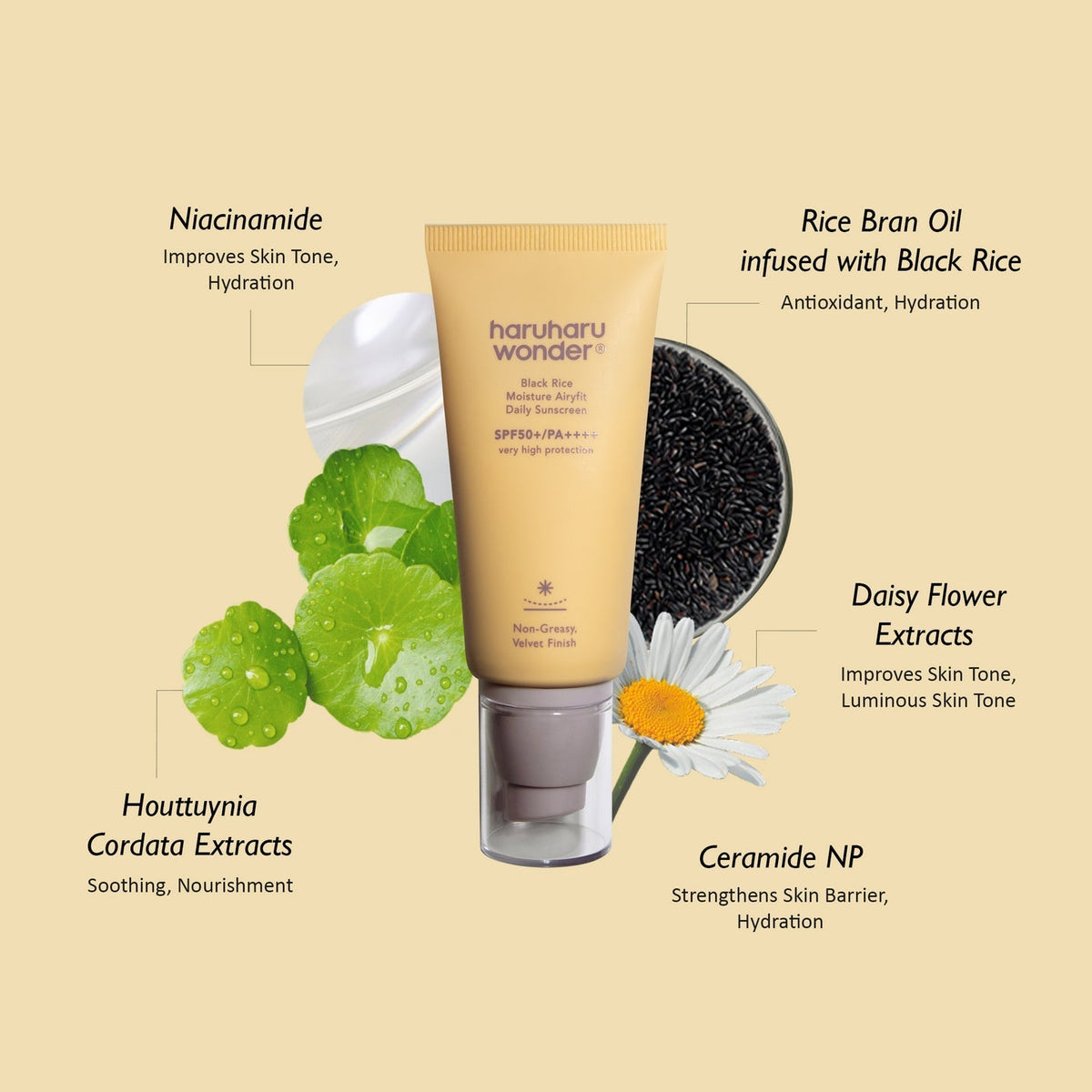 Haruharu Wonder Black Rice Moisture Airyfit Daily Sunscreen SPF50+/PA++++, 50ml - Image 3