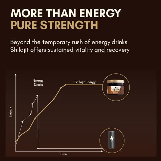 Rasayanam Pure Shilajit Resin - Himalayan Herbal Supplement, 20g - Image 6