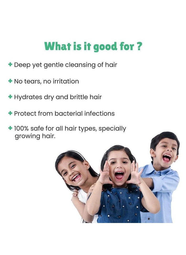 Little Joys Amla Shampoo - 250 ml - Image 2