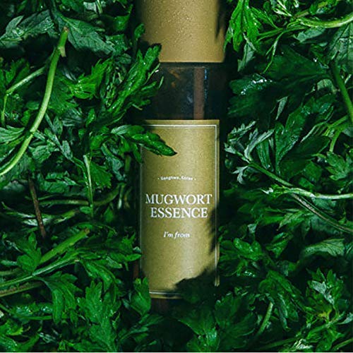 I'M FROM Mugwort Essence - Face Serum for Acne Prone Skin, 160 ml - Image 2