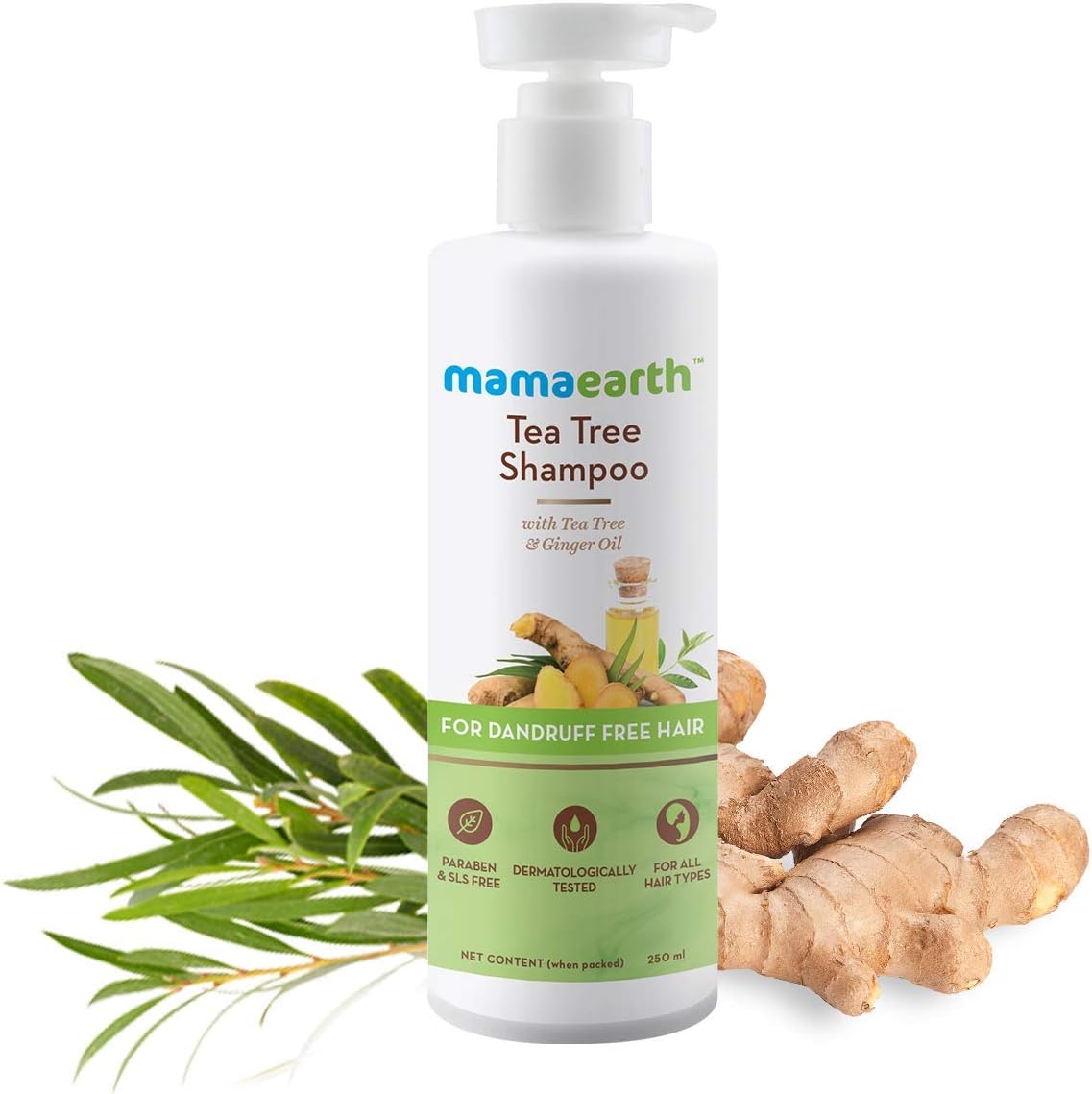 Mamaearth Tea Tree Anti-Dandruff Shampoo with Ginger Oil - 250ml - Image 2