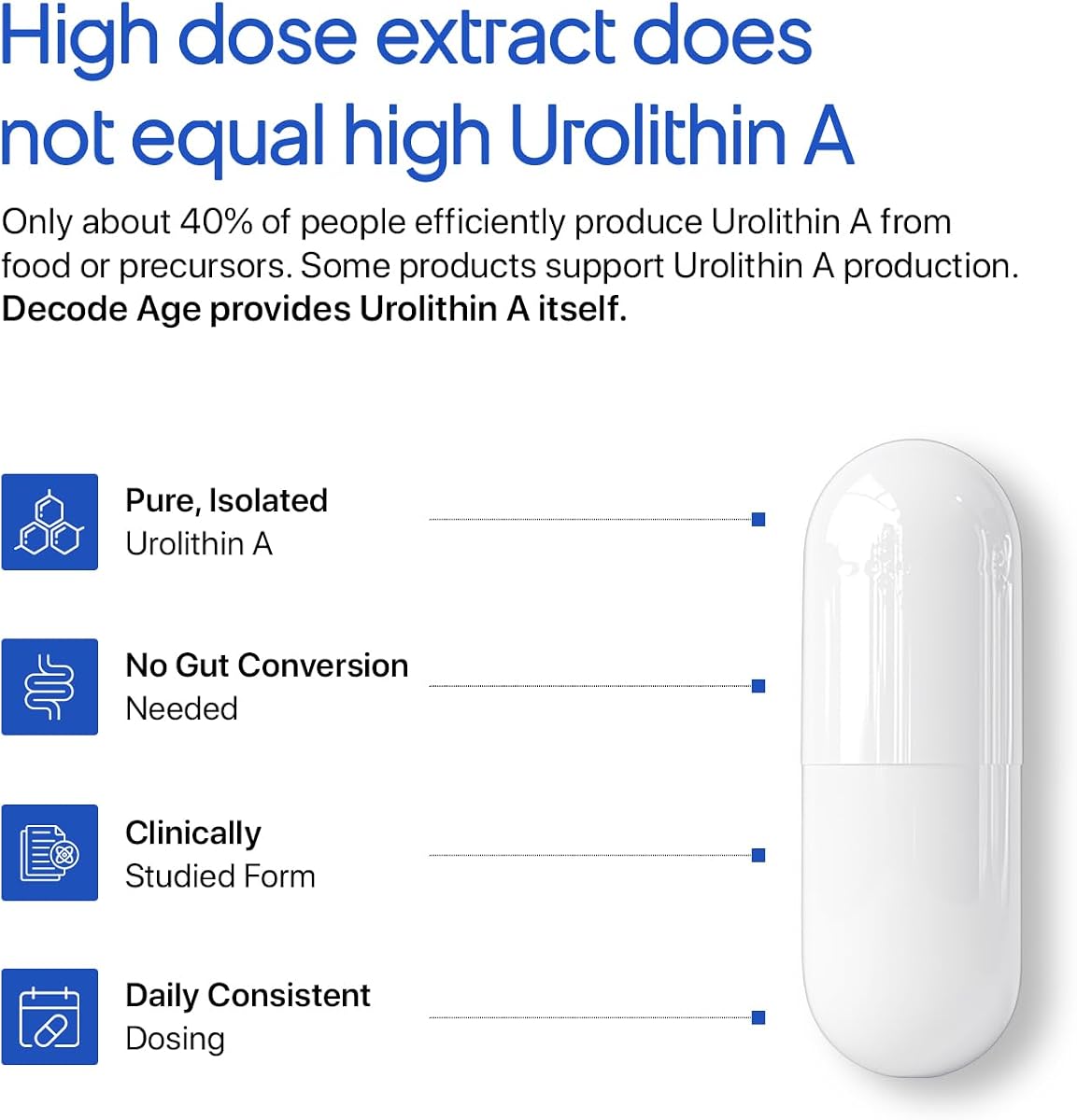 Decodeage Urolithin A Capsules - Longevity Supplement, 500mg, 30 Count - Image 2