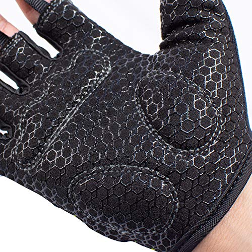 - Image 6