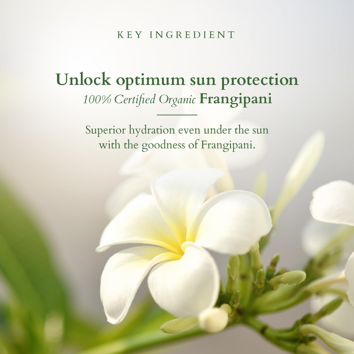 Lotus Organics Hydrating Gel Mineral Sunscreen SPF-30 PA - 100g - Image 3