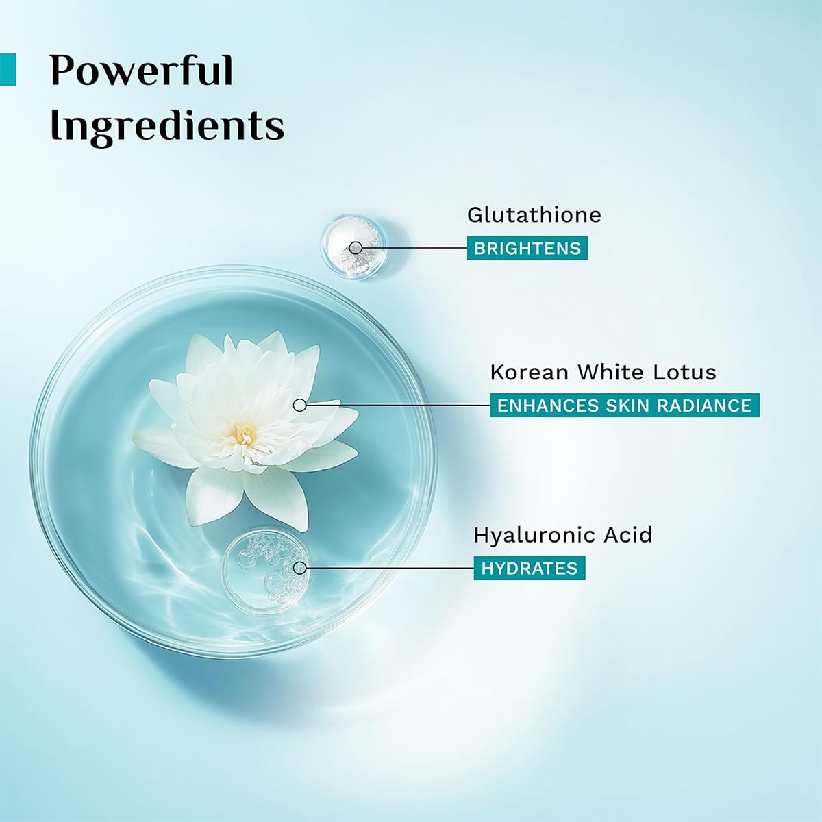 Pilgrim Korean White Lotus Tinted Day Cream SPF 50 - 100g - Image 4