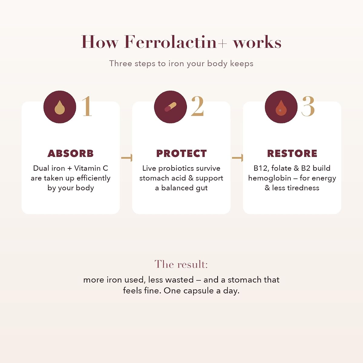 Valeo Ferrolactin+ Gentle Iron Supplement with Vitamin C & Probiotics - 60 Capsules - Image 6