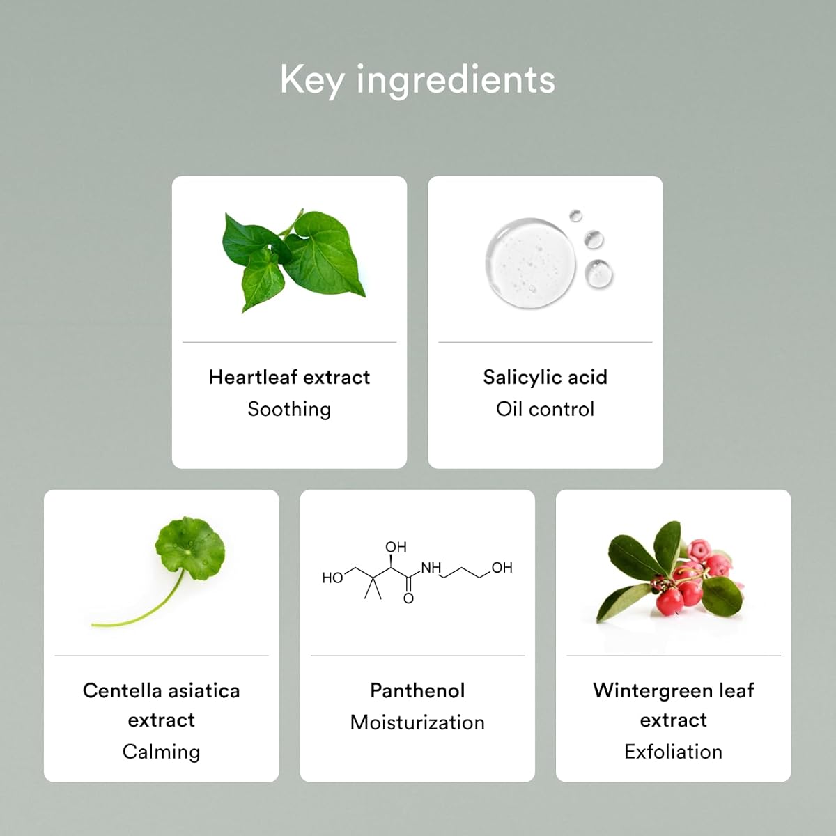 Abib Acne Heartleaf Foam Cleanser - Salicylic Acid & Heartleaf - 150ml - Image 4