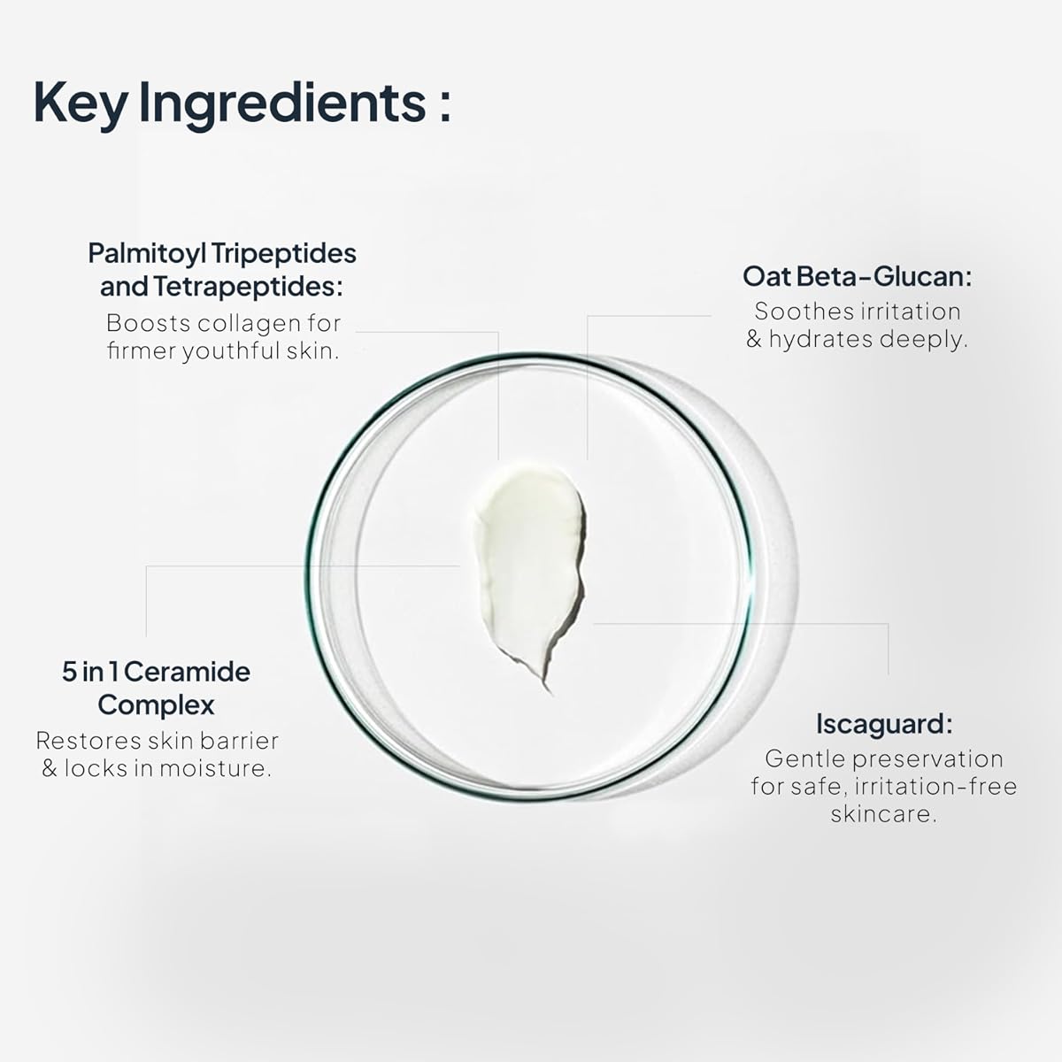 Miduty EpiRepair Night Cream - Peptide & Ceramide Skin Barrier Repair - 50g - Image 4