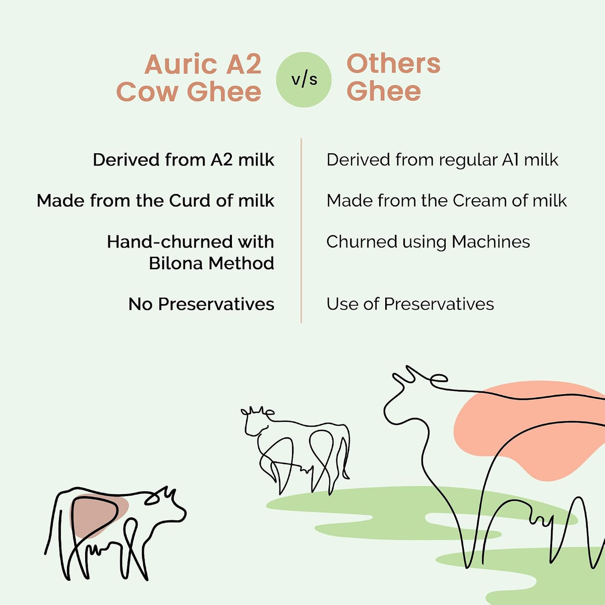 Auric A2 Desi Cow Ghee - Bilona Curd Churned, Lab Tested - 500ml - Image 8