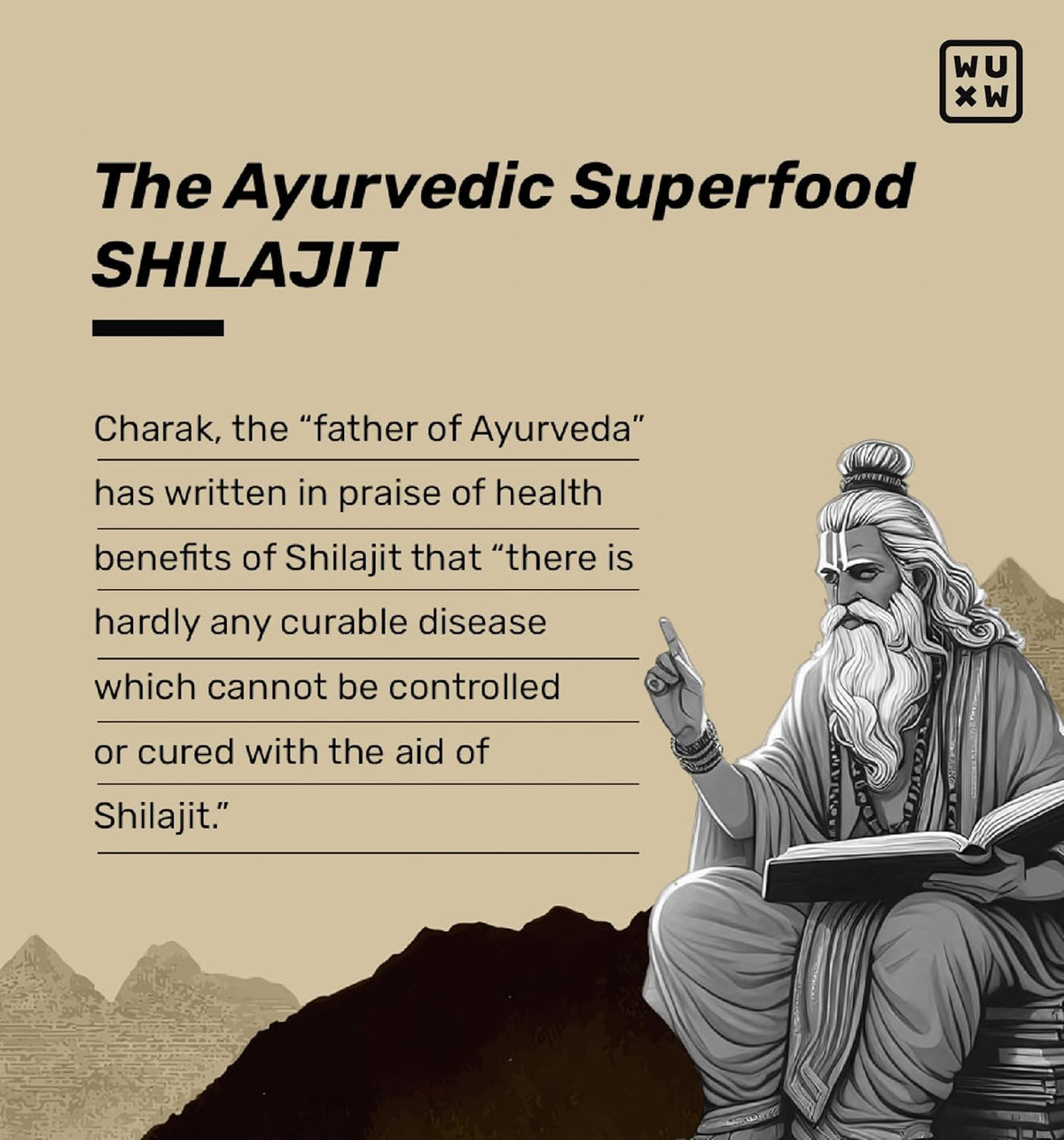 What's Up Shilajit Resin Gummies with 24 Carat Gold Dust - Imili Flavour, 30 Pieces - Image 7