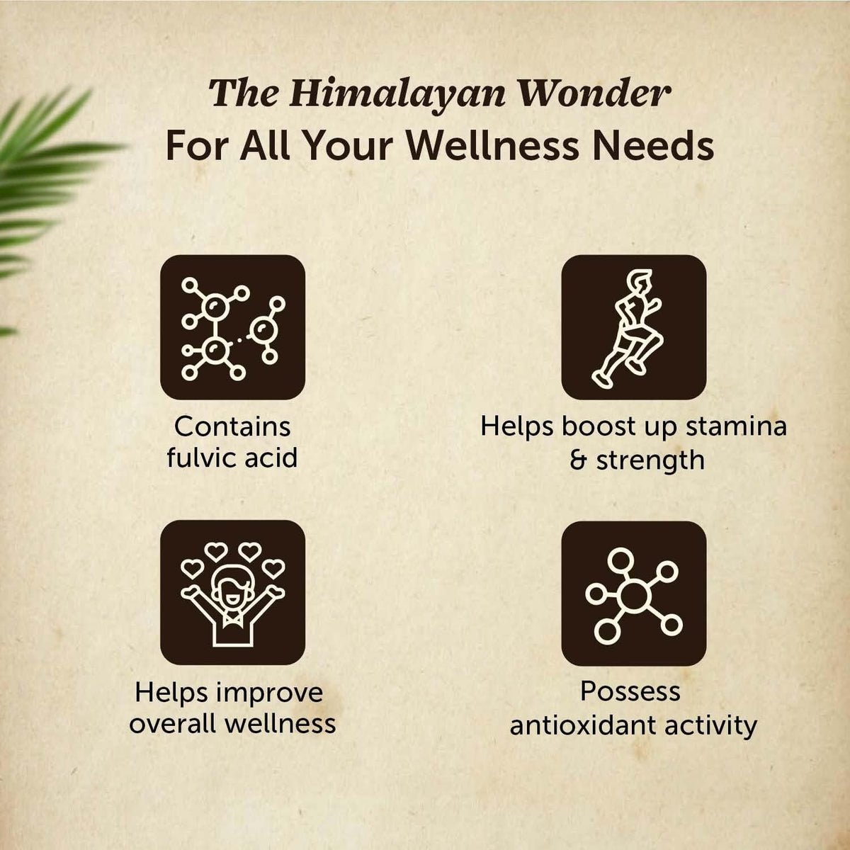 Neuherbs Pure Himalayan Shilajit Resin, Herbal & Ayurvedic, 20g - Image 2
