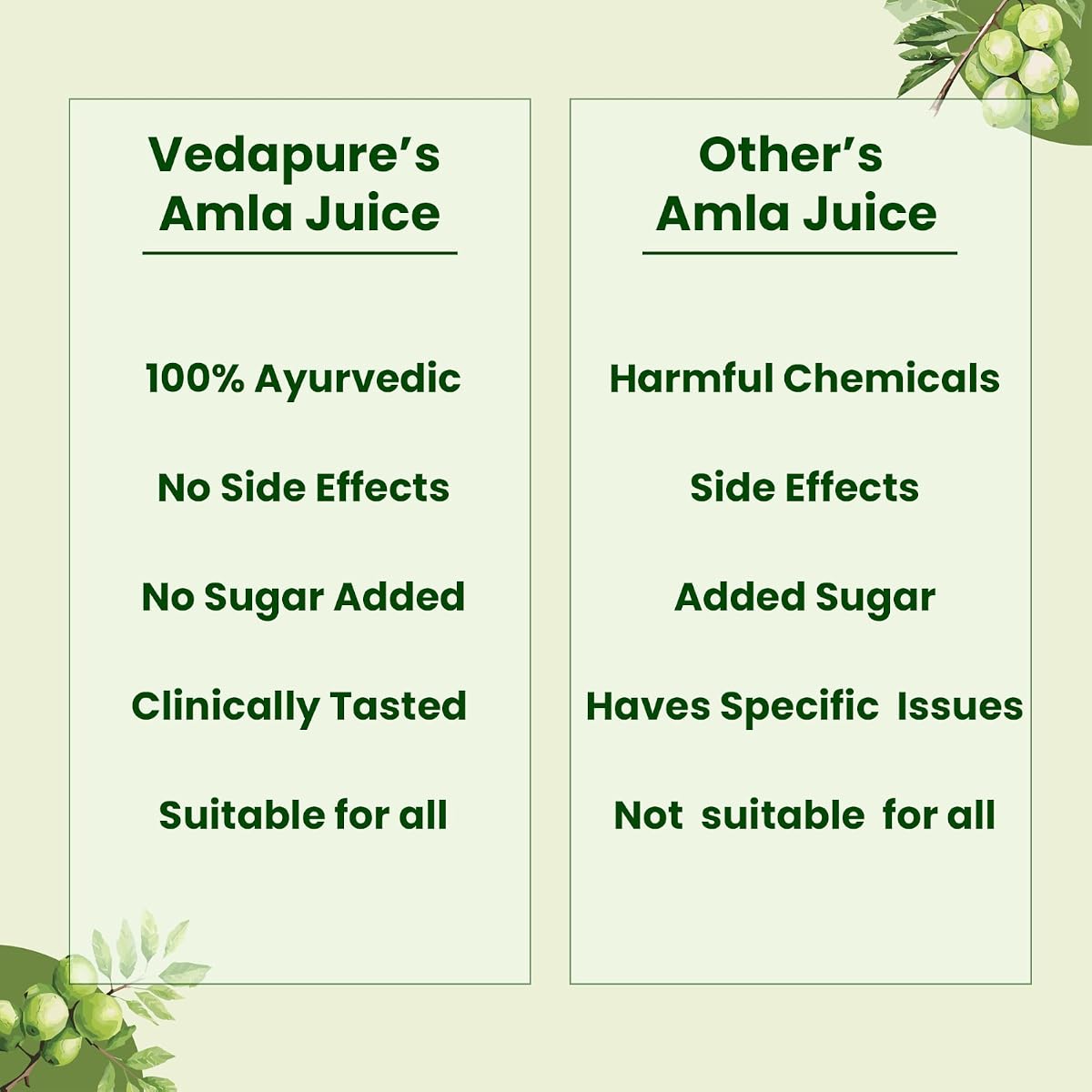Vedapure Herbal Amla Juice - Natural Immune Booster, 500 ml - Image 6