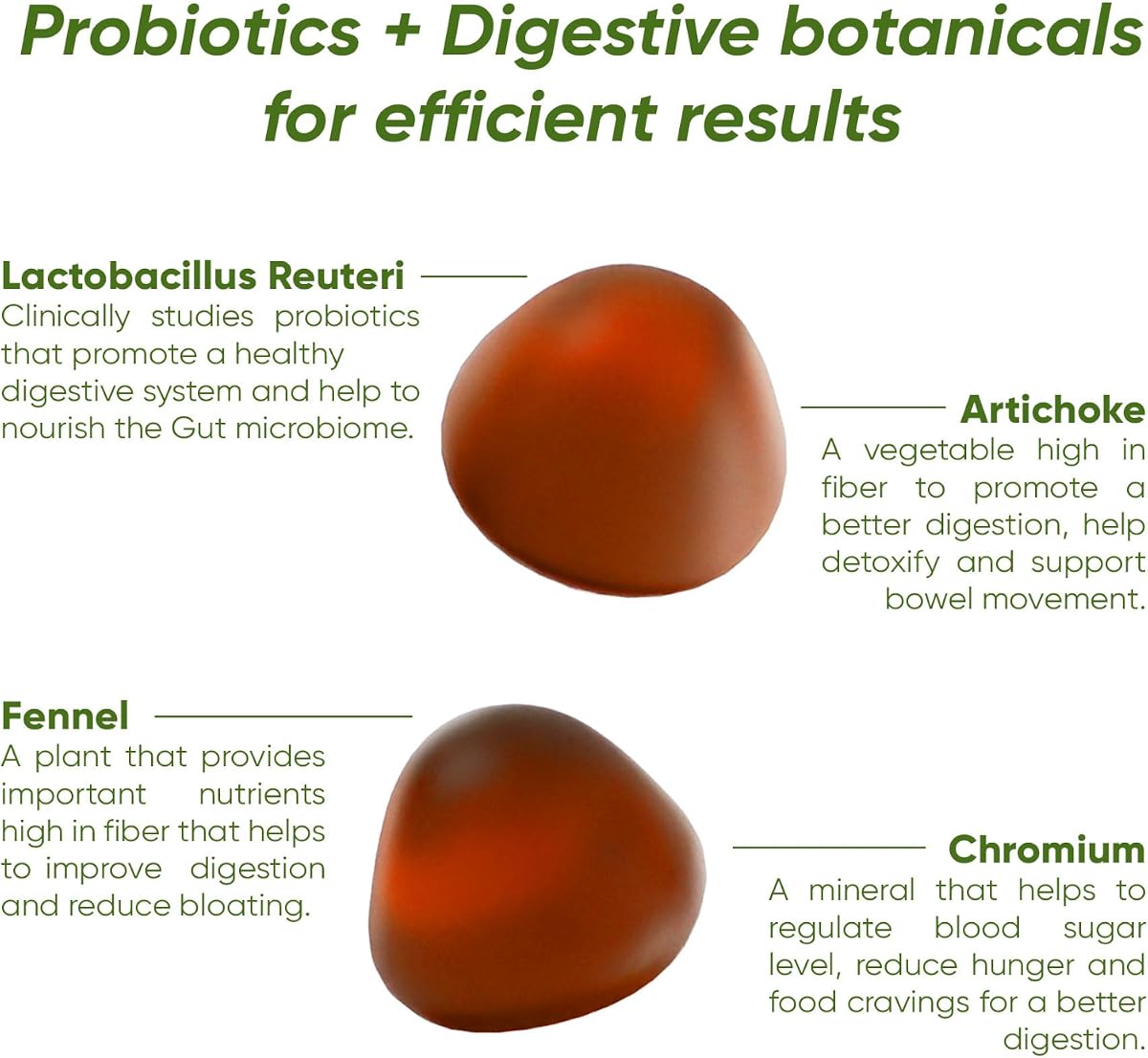 Rite Balance Probiotics Vegan Gummies - Sugar-Free, Apple Flavour, 60 Count - Image 2