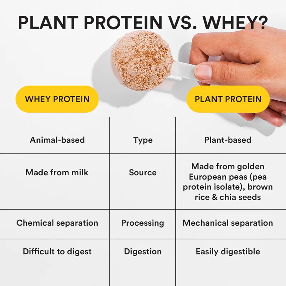 Wellbeing Nutrition Organic Vegan Plant Protein Powder with BCAAs - Chocolate Peanut Butter, 500g - Image 4