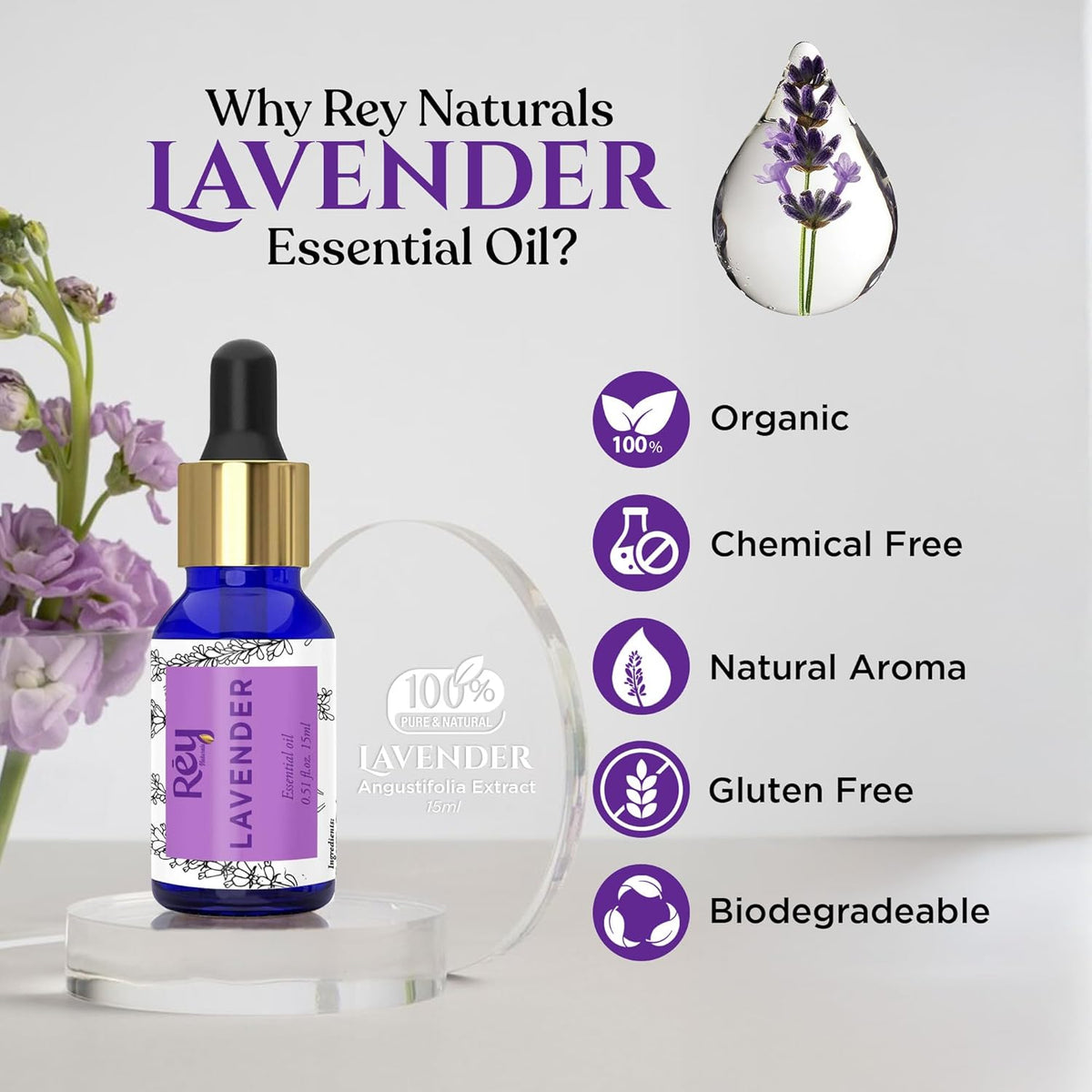 ReyNaturals Lavender Essential Oil - Pure, 100% Natural - 15ml - Image 2