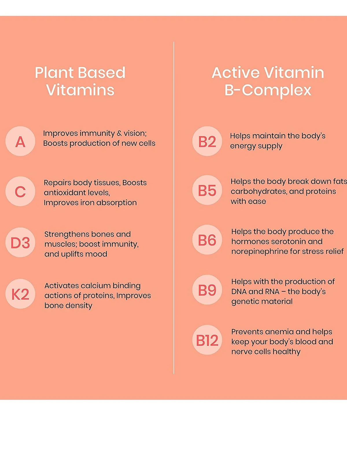 Wellbeing Nutrition Melts Multi Vitamin Plant-Based Multivitamin Oral Strips, 30 Strips - Image 3