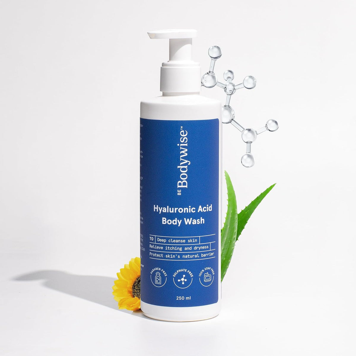 Be Bodywise Hyaluronic Acid Body Wash with Aloe Vera Extract - 250ml
