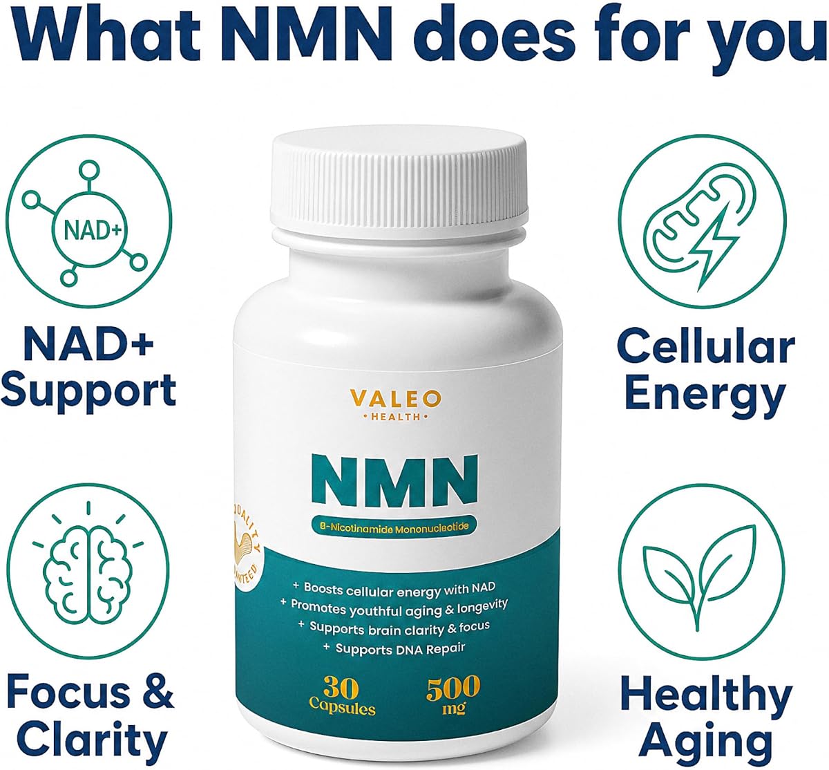 Valeo Nicotinamide Mononucleotide Capsules - 500mg - 30 Count - Image 2
