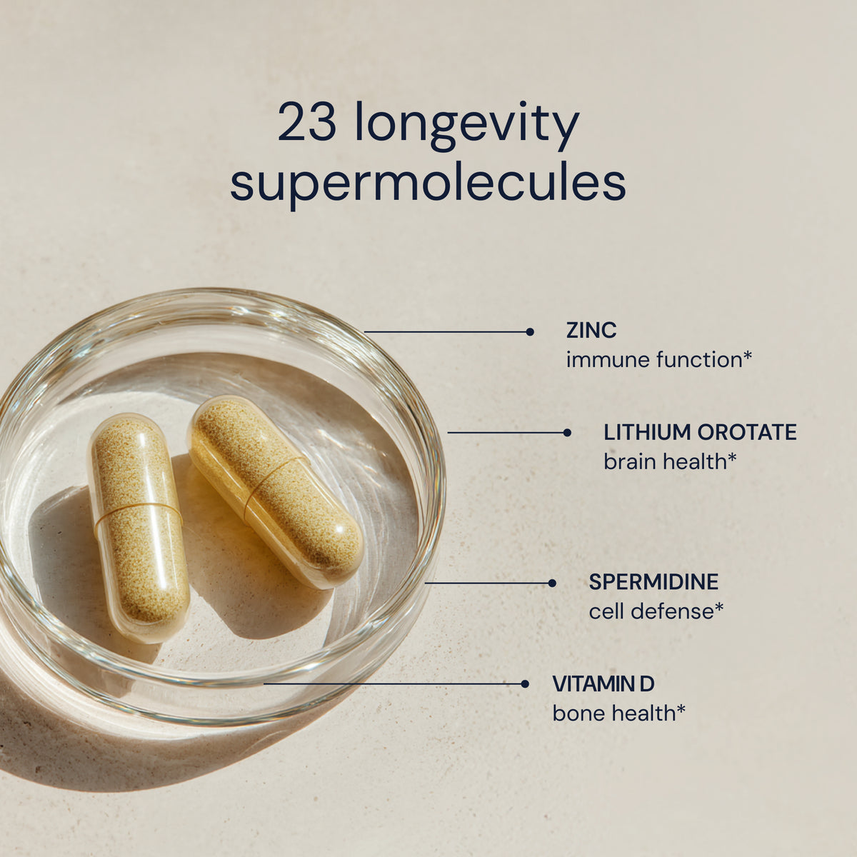 Blueprint Essential Capsules with 23 Longevity Actives - 30 Servings