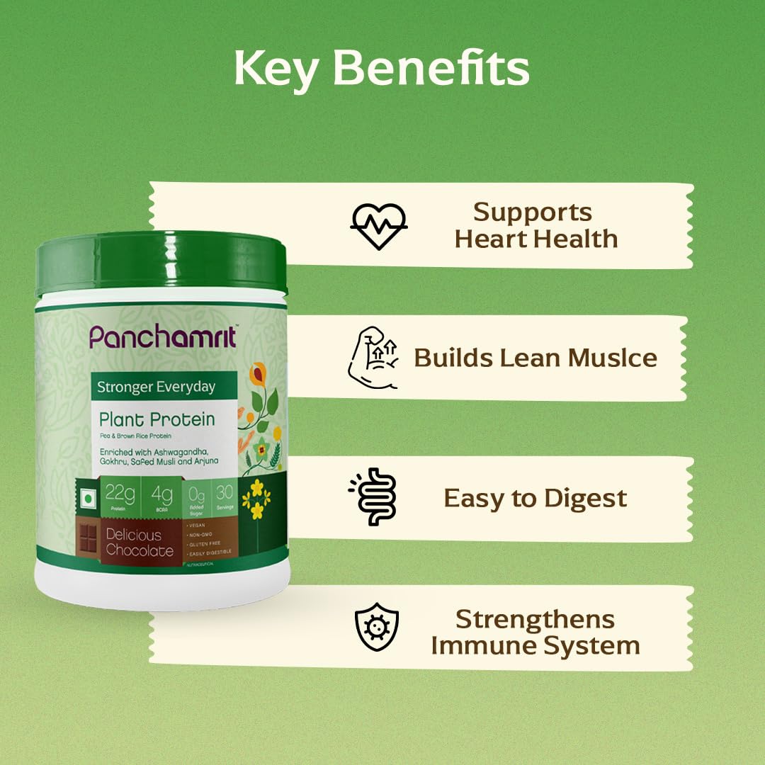 Panchamrit Stronger Everyday Plant Protein Powder, Delicious Chocolate - 500g - Image 2