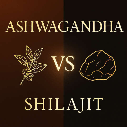 Ashwagandha vs Shilajit: Which Is Better for Energy & Performance?