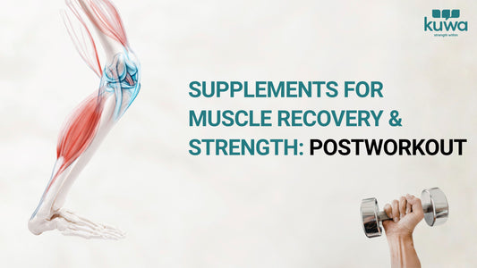 Supplements for Muscle Recovery & Strength: Post-Workout