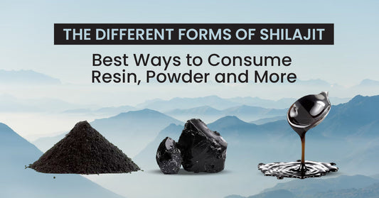 The Different Forms of Shilajit and How to Use Them | Kuwa