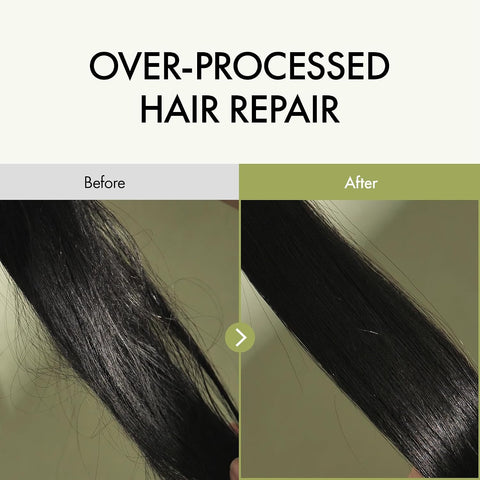 Anillo Patchouli Garden Damage Repair Hair Essence – Korean Hair Essence Oil for Damaged Hair w/Patchouli Leaf Water, Protein Complex & Amino Acids – Vegan Leave in Hair Serum (50ml / 1.69 fl. Oz) - Image 2