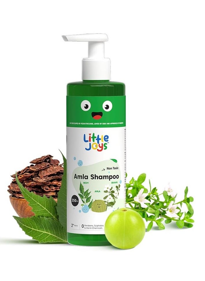 Little Joys Amla Shampoo - 250 ml