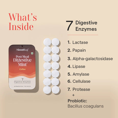 The Good Bug Post Meal Digestive Mint : Coffee (Pack of 14)