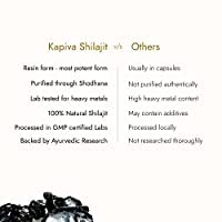 KAPIVA Himalayan Shilajit resin 20g + Stamin Up Capsule Combo