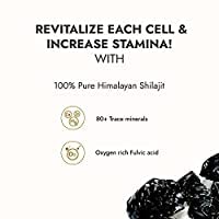 KAPIVA Himalayan Shilajit resin 20g + Stamin Up Capsule Combo