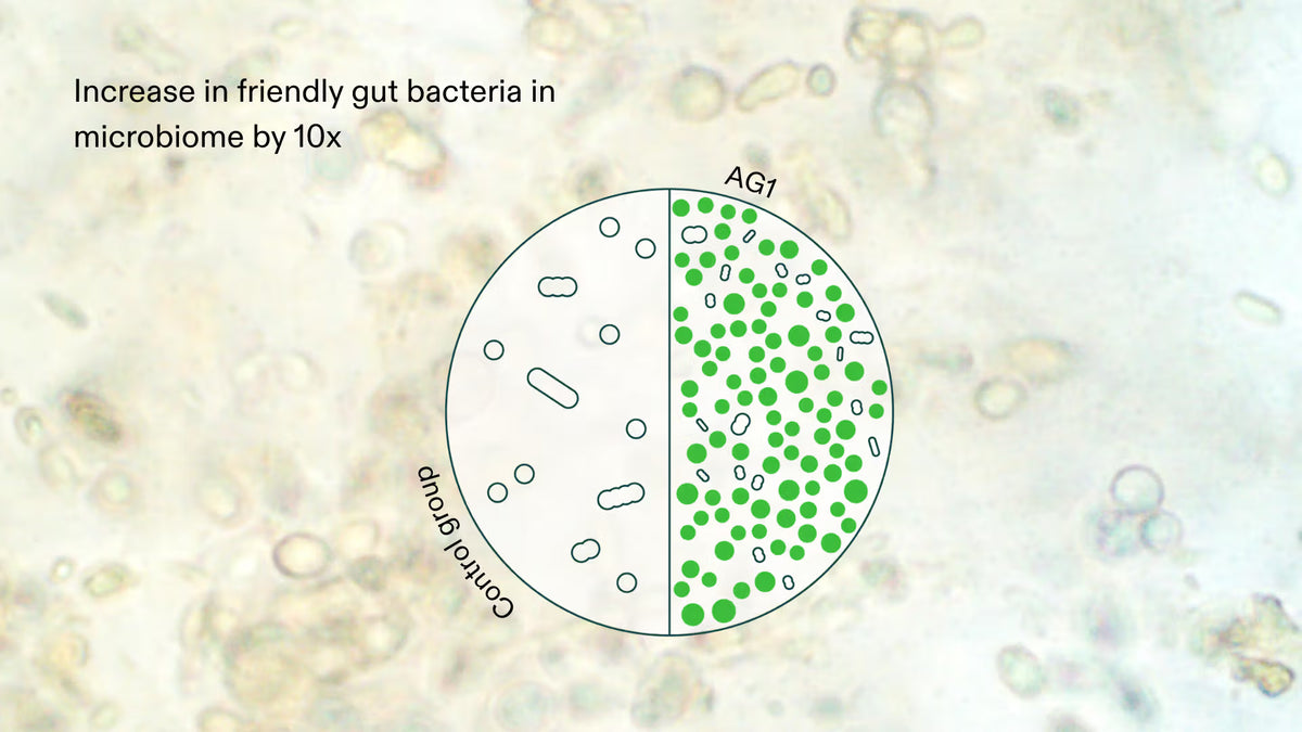 Clinically shown to enrich the gut microbiome.