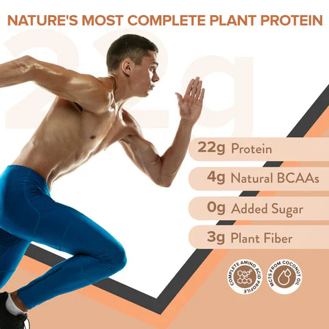 Superfood Plant Protein Dark Chocolate Hazelnut + ULTIMATE OMEGA 3 CARDIO 90 CAPSULE