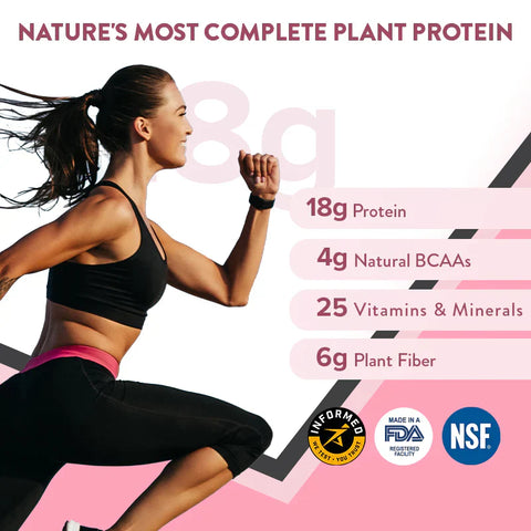 Wellbeing Nutrition Organic Vegan Plant Protein Powder For Men & Women 22G European Pea Protein Isolate 5G Bcaa Superfoods Fiber For Muscle Growth & Recovery Italian Cafe Mocha 500Gm Pack Of 1 White