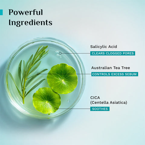 Pilgrim Australian Tea Tree Purifying Gel Face Wash