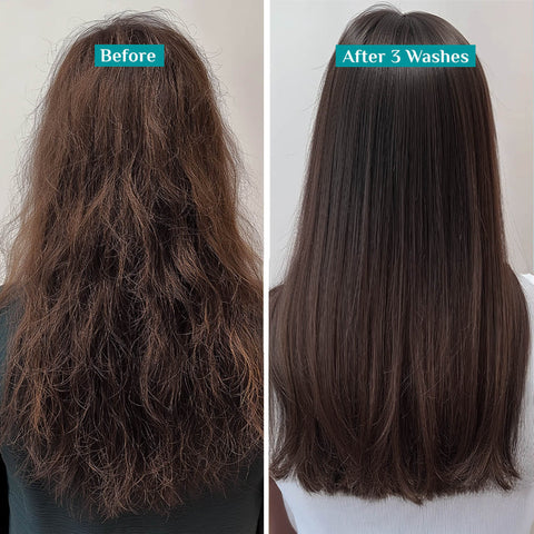 Pilgrim Korean Rice Water & Collagen Advanced Damage Repair Conditioner