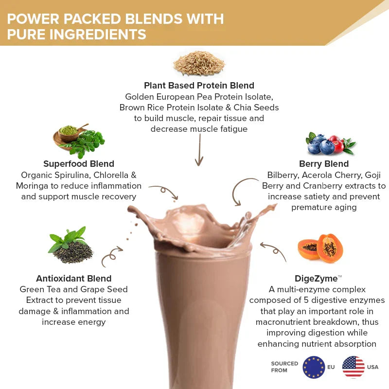 Wellbeing Nutrition Superfood Plant Protein Italian Café Mocha - Sports Nutrition Powder - Image 4
