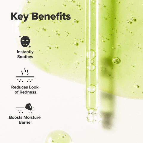 Beauty Of Joseon Calming Serum Green Tea + Panthenol – 30ml - Image 4