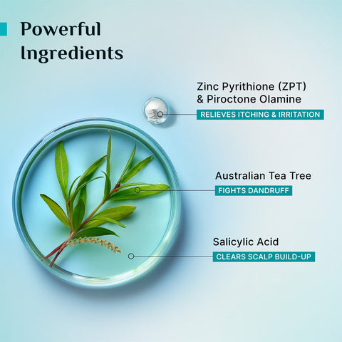 Pilgrim Australian Tea Tree Anti-Dandruff Conditioner 200ml