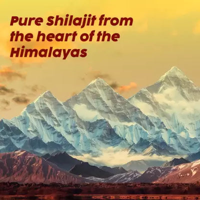 Plix Herbal Shilajit Tablets - Elaichi Kulfi Flavour, 60 Tablets - Image 2