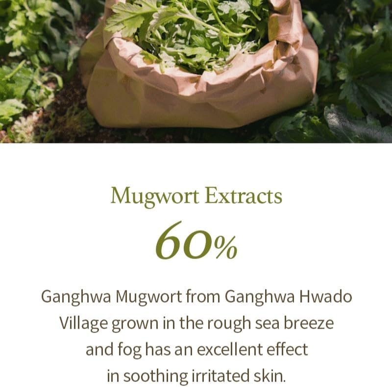 I'm From Mugwort Gel Cleanser - Face Cleanser with Mugwort Extract, 150 ml - Image 3