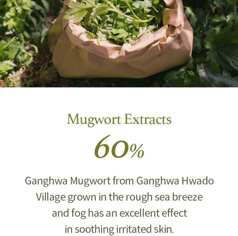 I'M FROM Mugwort Gel Cleanser 150 ml