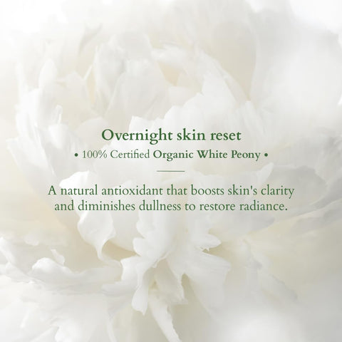 Lotus Organics+ Precious Brightening Night Crème for a brighter appearance, 100% Certified Organic Actives, Natural Night Crème for Skin Brightening, 50 gm