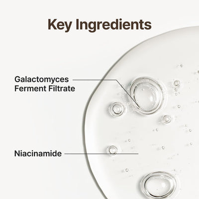 PURITO Galacto Niacin 97 Power Essence - Fermented Galactomisses & Niacinamide Formula, 60ml - Image 8